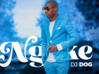 DJ Dog - Ngeke