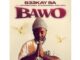 B33kay SA – Bawo (feat. Sipho Magudulela, Cnethemba Gonelo, DJ 2k & Mr Lii)