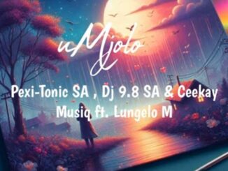 Pexi-Tonic SA, Dj 9.8 SA & Ceekay Musiq - uMjolo ft. Lungelo M