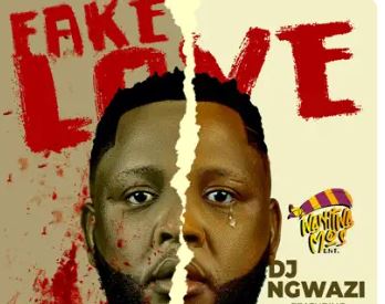 DJ Ngwazi - Fake Love