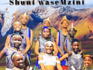 Shuni waseMzini – Sibukela kini