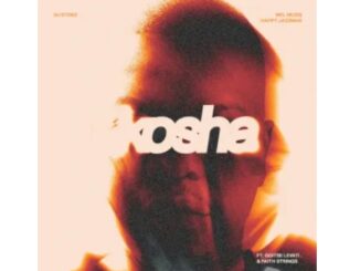 DJ Stoks, Mel Muziq & Happy Jazzman – Kosha (feat. Goitse Levati & Faith Strings)