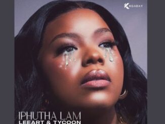 LeeArt & TYCOON – Iphutha Lam ft. ZEENHLE, Mpho Spizzy & Tshepo Keyz