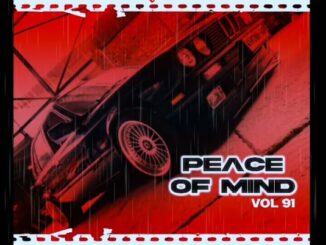 DJ Ace – Peace of Mind Vol 91 (11 August 2024 Slow Jam Mix)