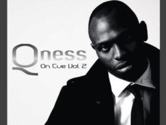 Dj Qness – Imiyalo