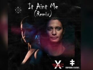 DJ Abux X Soulking - It Ain't Me (Amapiano Remix) [ft. Innocent Boetie]