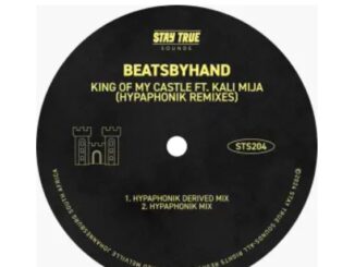 beatsbyhand, Kali Mija – King Of My Castle (Hypaphonik Remixes)