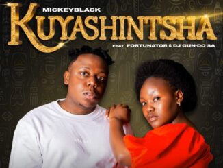 Mickeyblack - Kuyashintsha ft. Fortunator & DJ Gun-Do SA