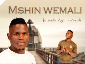 Mshinwemali - Ngicel Uhambe (feat. Zothando)