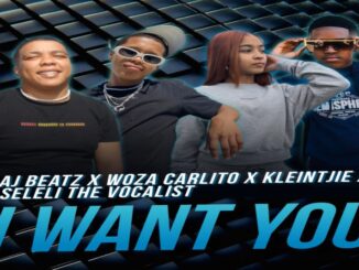 Woza Carlito - I Want You (feat. Aj Beatz, Kleintjie & Seleli The Vocalist)