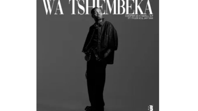 Cooper SA & Small S.P – Wa Tshembeka