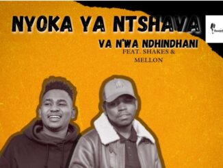 Nyoka Ya Ntshava · Va N'wa-Ndhindani