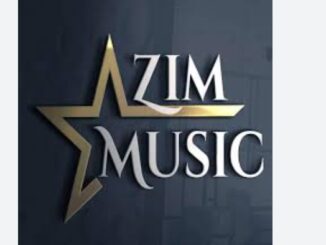 Zim Music Play & Download Hits & All MP3 Songs!