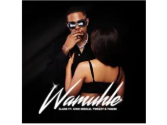 Slade – Wamuhle (feat. Sino Msolo, Tweezy & Yumbs)