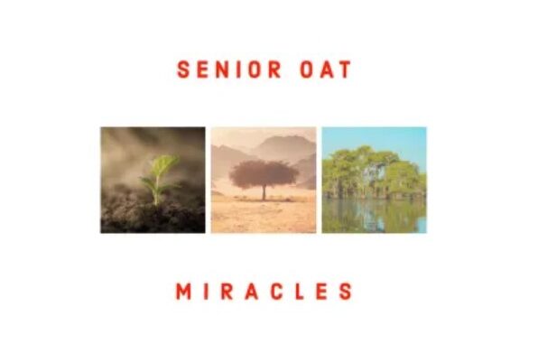 Senior Oat – Miracles (Album)