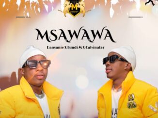 MSAWAWA - IZANDLA PHEZULU ft Dansanie & Fundi M & Calvinator