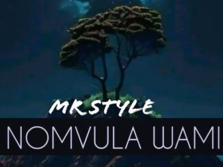 Nomvula Wami · Mr Style