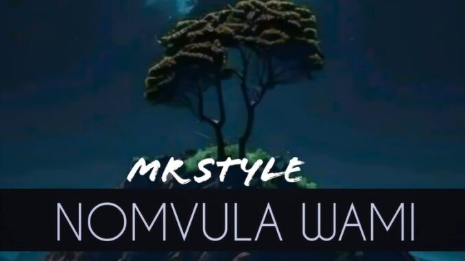 Nomvula Wami · Mr Style