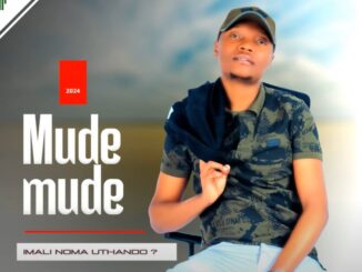 Mudemude - Imali noma uthando? (feat. Navigator)