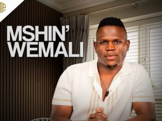 Into Yami (feat. Londeka Shangase) · Mshinwemali