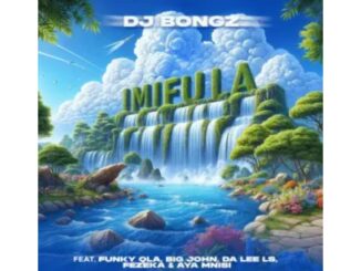 DJ Bongz – Imifula (feat. Funky Qla, Da Lee LS, Fezeka Dlamini & Aya Mnisi)