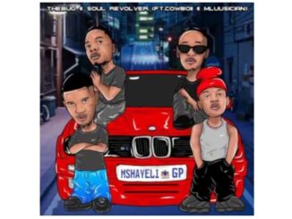 Thebuu & Soul Revolver – Mshayeli (feat. CowBoii & Mluusician)