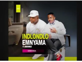 Indlondlo Emnyama – Izinkinga Ft. Umdumazi