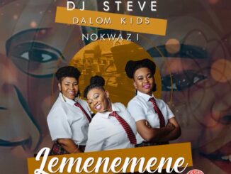 Dj Steve & Dalom Kids - Lemenemene