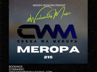 Ceega – Meropa 215 (Connection Between Us & The Music)