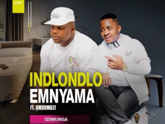 Indlondlo Emnyama - Izinkinga (feat. Umdumazi)