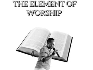 Popzin - The Element of Worship Album