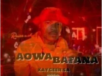 Makhadzi – Aowa Bafana