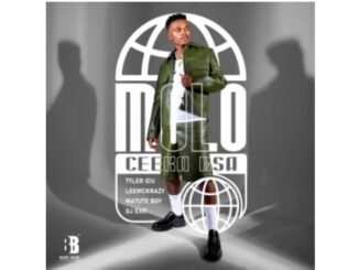 Ceeka RSA, Tyler ICU, LeeMcKrazy & Matute Boy – Molo