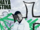 Philharmonic & Nandipha808 – Shaya Istina ft. Amahle.tc & Nation Deep