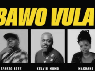 Sfarzo Rtee, Kelvin Momo & Makhanj – Bawo Vula (Remix)