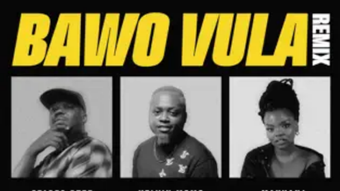 Sfarzo Rtee, Kelvin Momo & Makhanj – Bawo Vula (Remix)