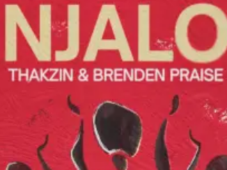 Thakzin & Brenden Praise – Njalo