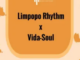 Limpopo Rhythm & Vida-Soul – Road to Mumbai