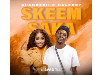 Shandesh & NaleBoy Young King – Skeem Saka ft. Hitler SA