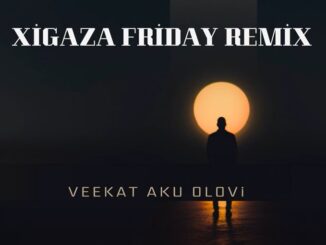 VEEKAT AKUOLOVI - XIGAZA FRIDAY 1.0