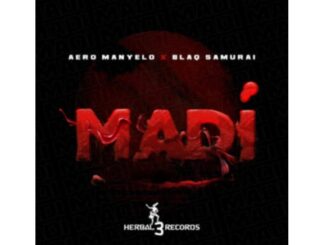 Aero Manyelo & Blaq Samurai – Madi