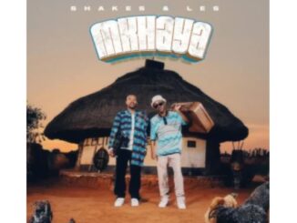 Shakes & Les & Young Stunna – Thando Awpheli (feat. LeeMcKrazy)