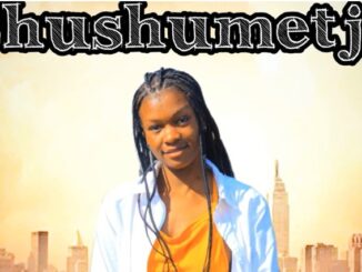 Shushumetja (feat. Xclusive wa mo limpopo & DJ CALL ME) · Judy De Vocalist · Xclusive wa mo limpopo · DJ CALL ME