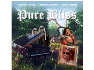 Luzyo Keys, 2woBunnies & DBN Gogo – Pure Bliss