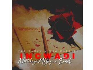 TEE Ramzy, Soa Mattrix & Nontokozo Mkhize – Incwadi (feat. Eemoh)