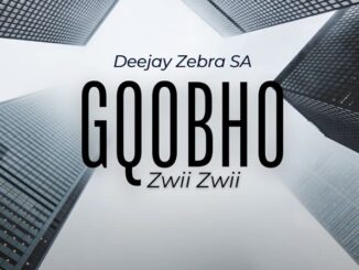 Deejay Zebra SA - Gqobho Zwii Zwii