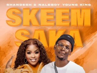 Shandesh & NaleBoy Young King - Skeem Saka