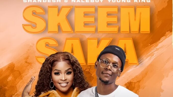 Shandesh & NaleBoy Young King - Skeem Saka