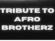 Afro Victimz – Tribute To Afro Brotherz