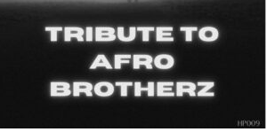 Afro Victimz – Tribute To Afro Brotherz